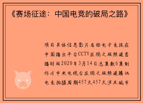 《赛场征途：中国电竞的破局之路》